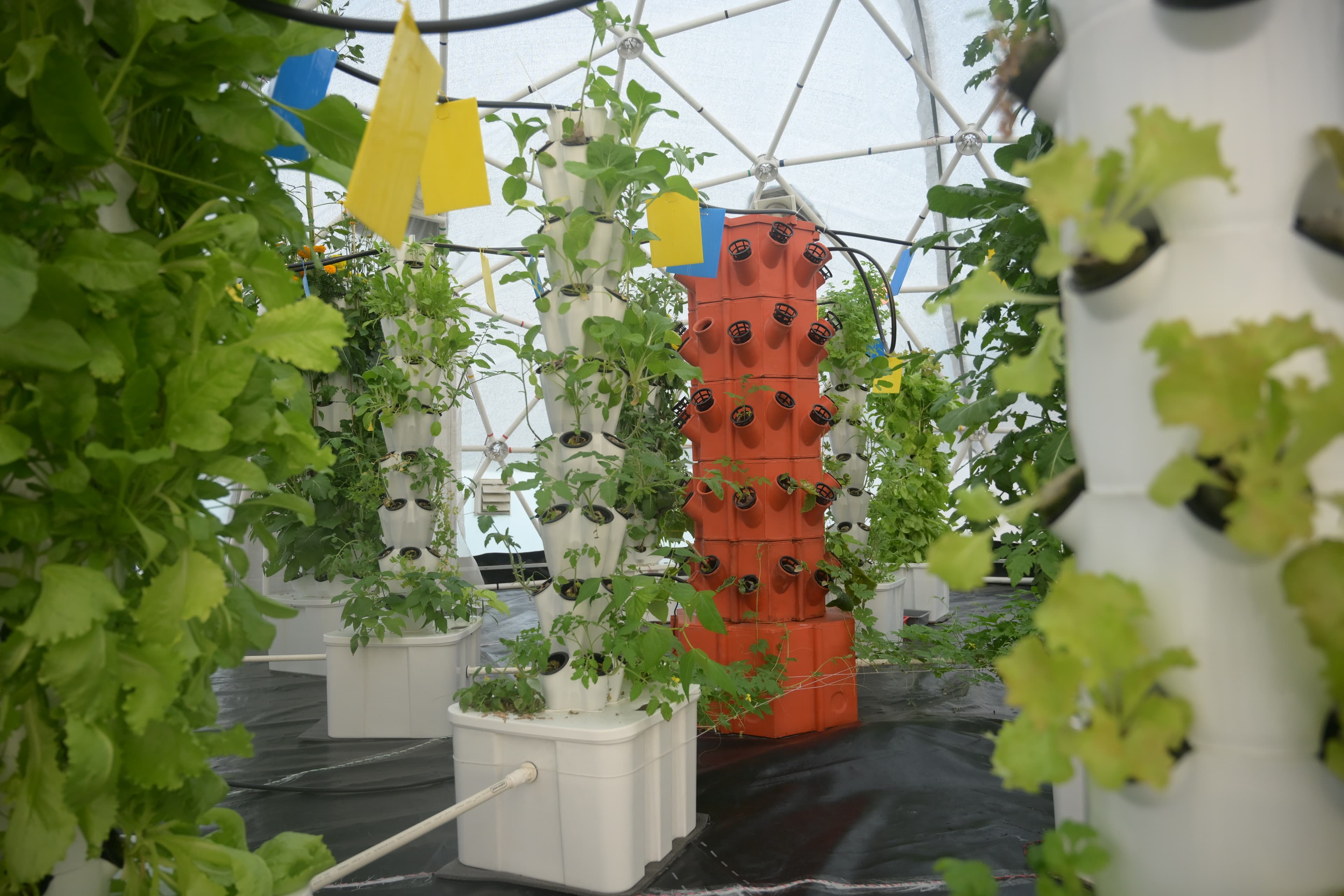 Aeroponic Farming SetUp