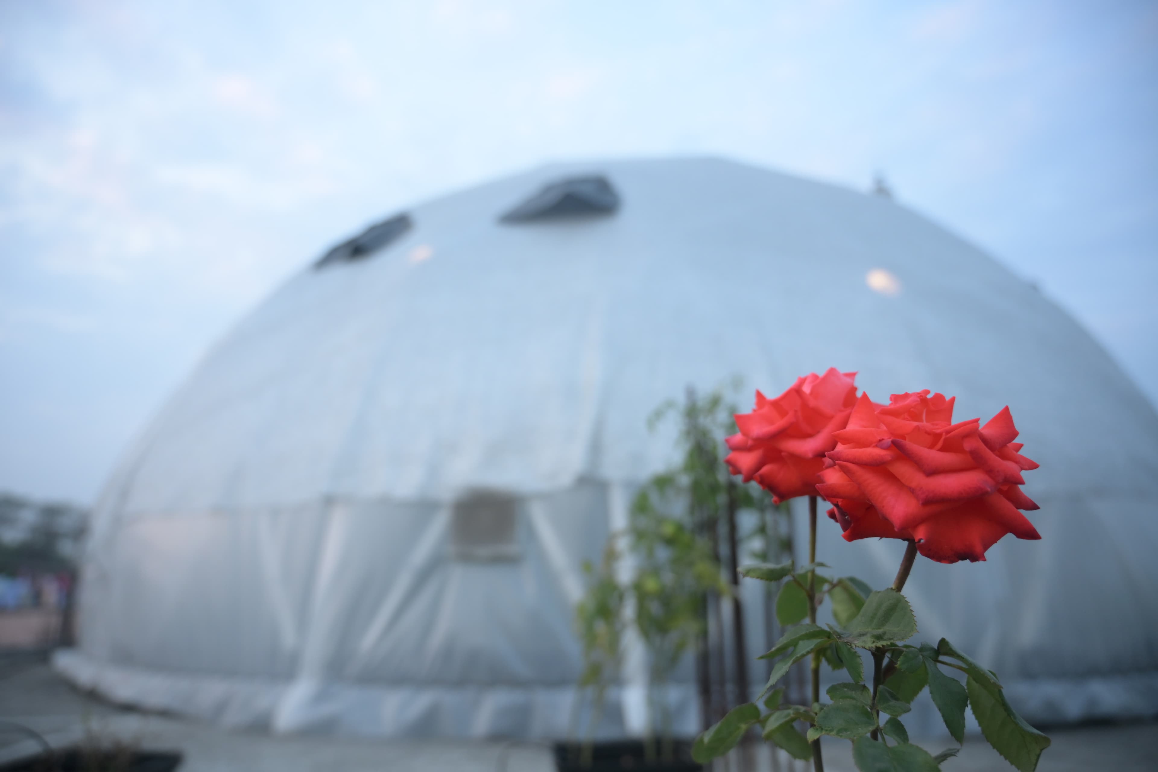 Built with engineering. Guided by nature.