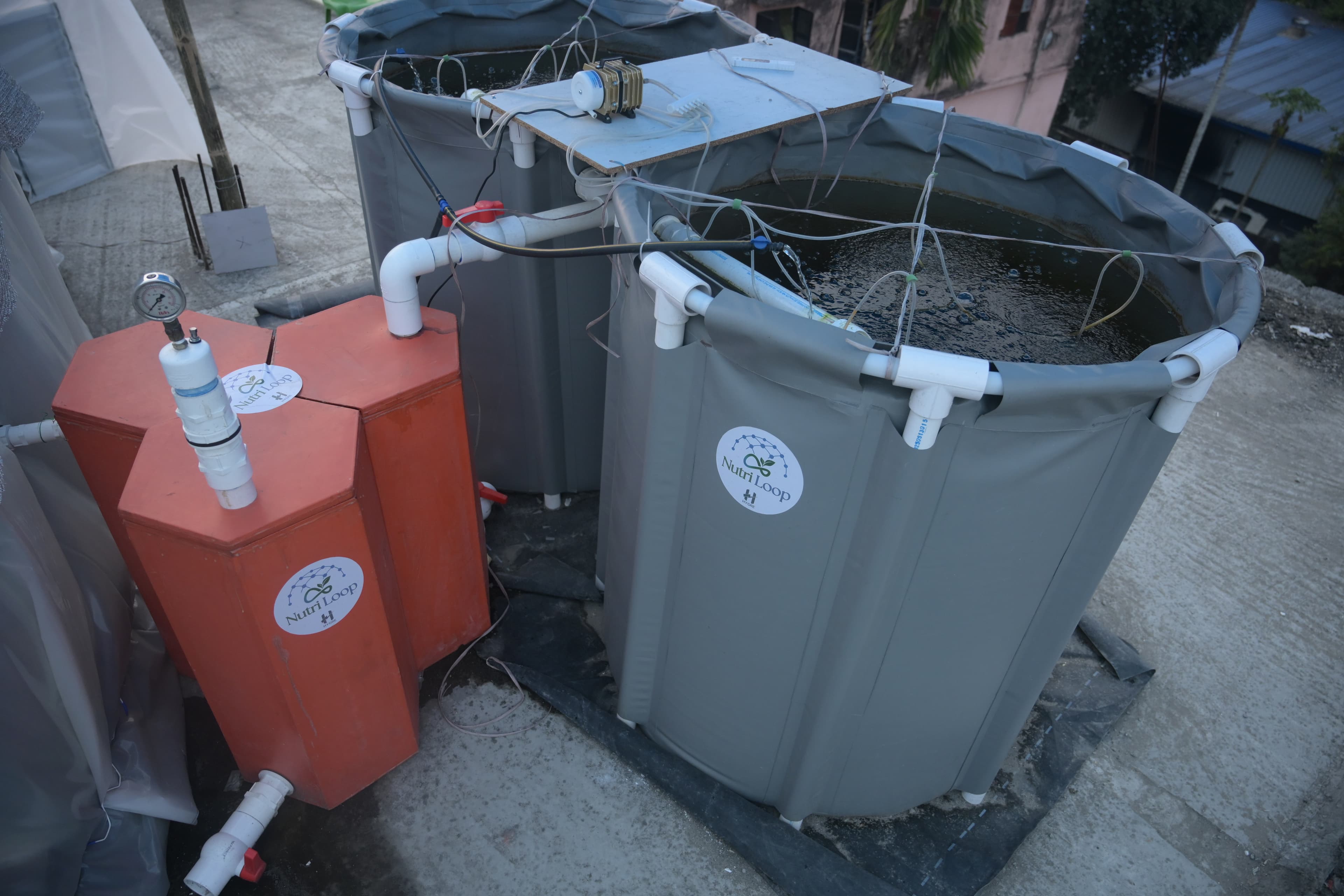 Fish Tank and Filter